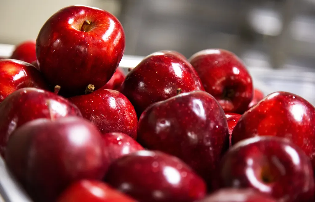 Red Delicious Apple