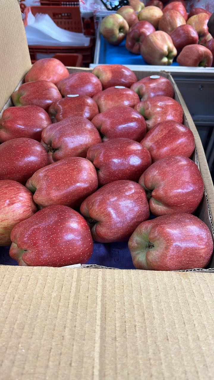 Fruit Farm