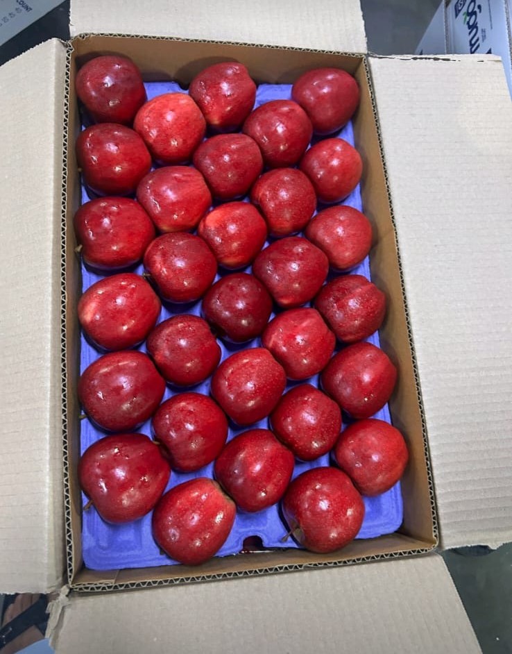 Fruit Farm